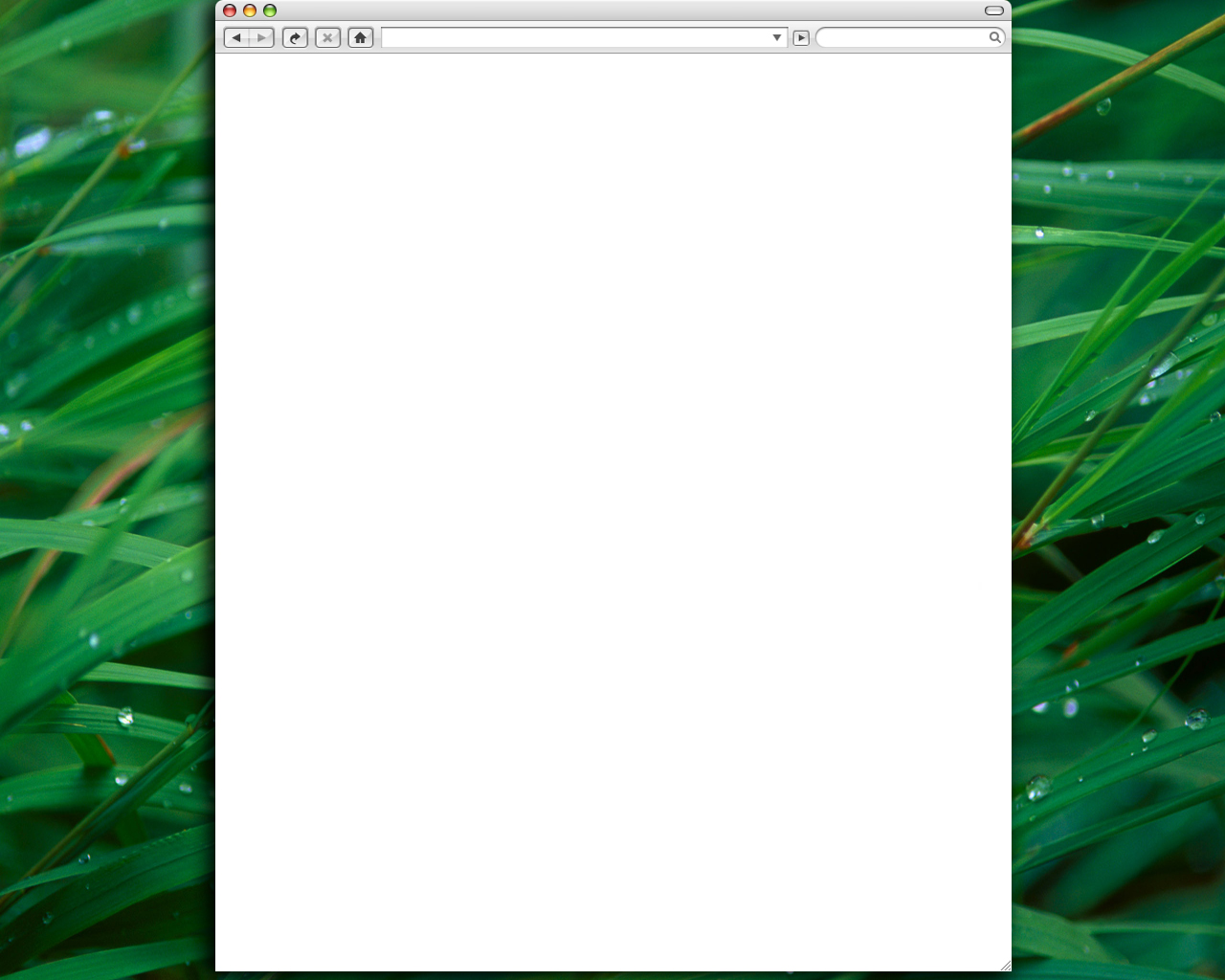 LeopardLayout2.jpg