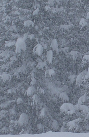PICT2137.jpg