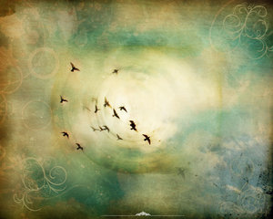 freedom_fly_by_rusaeval.jpg