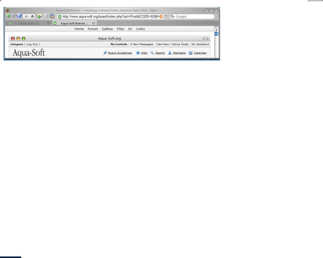 firefox_safari2.JPG