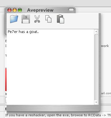 screen.jpg