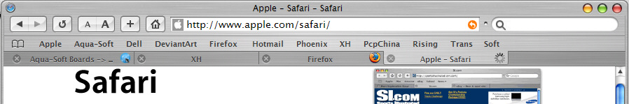 safa102.jpg