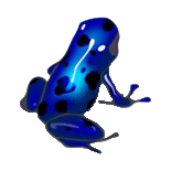 azureus_PNG.png