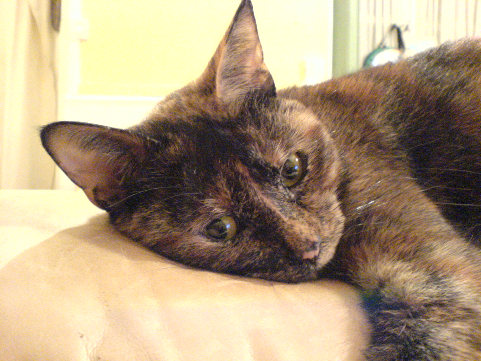 DSC00050.JPG