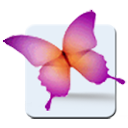 post-11781-1114975228.png