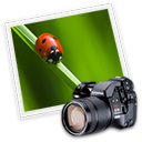 post-11887-1091812112.png